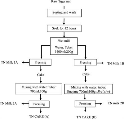 Characterization of physicochemical and microbial quality, functional properties, and shelf stability of fermented tigernut-based probiotic beverages